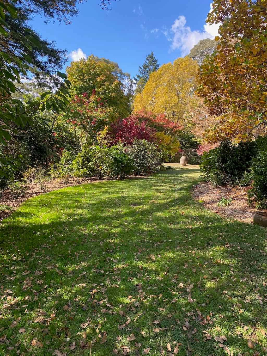 May 2023 Bathurst Mayfield Garden Tour Image -64605bc416dd2